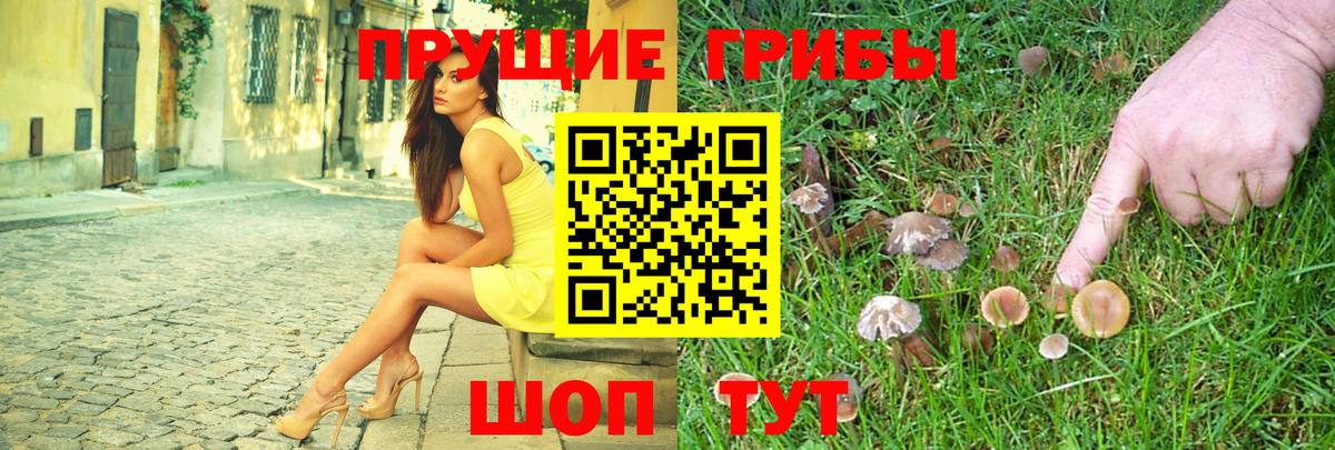 Галлюциногенные грибы GOLDEN TEACHER Каменск-Уральский